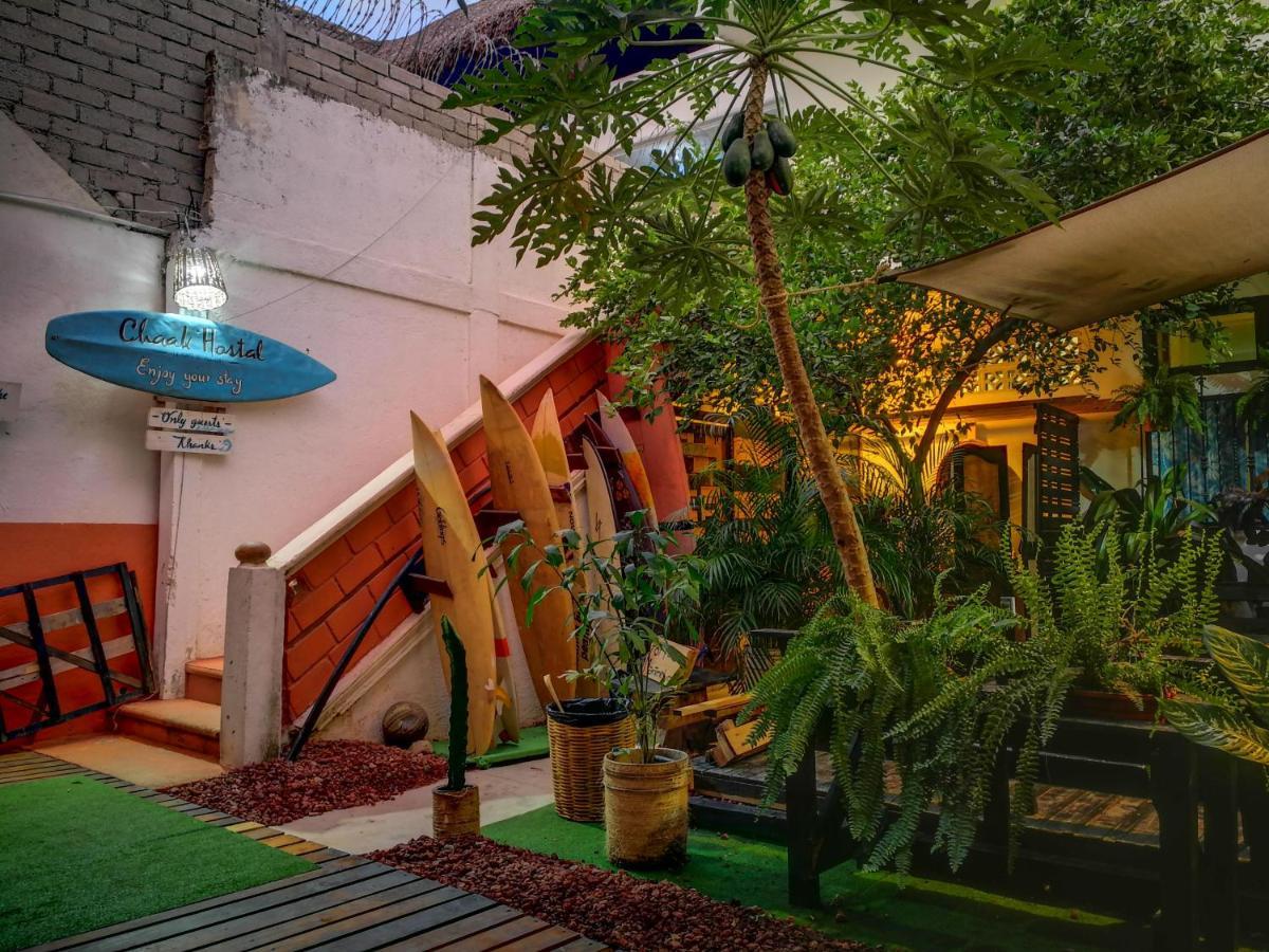 Chaak Hostel Puerto Escondido  Bagian luar foto